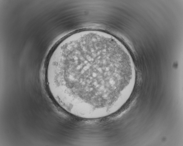 X0000116571125201001211238