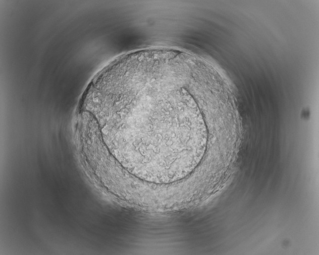 X0000116571126201001211238