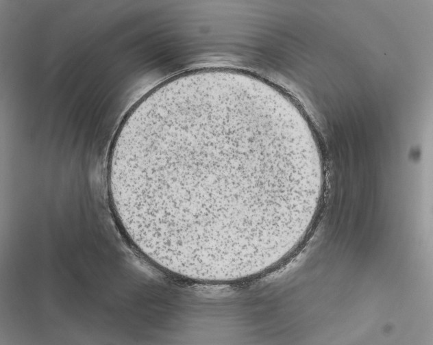 X0000116571129201001211238