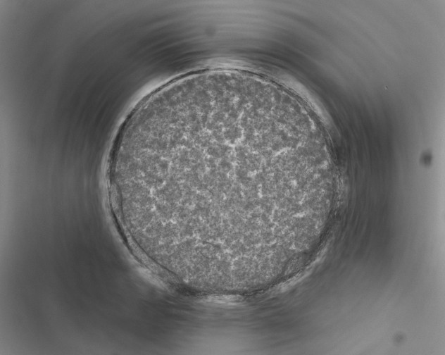 X0000116571133201001211238