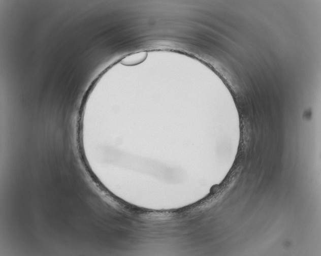 X0000116571134201001211238