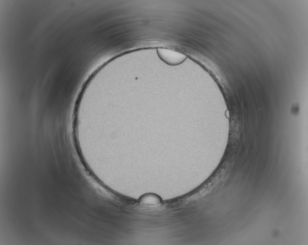 X0000116571135201001211238