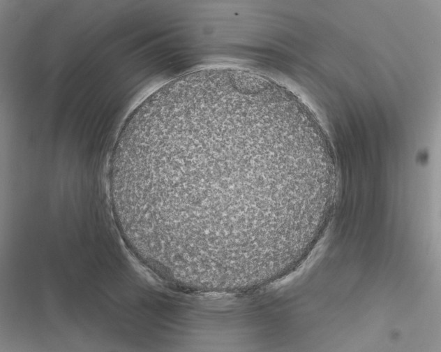 X0000116571137201001211238