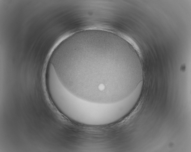 X0000116571138201001211238