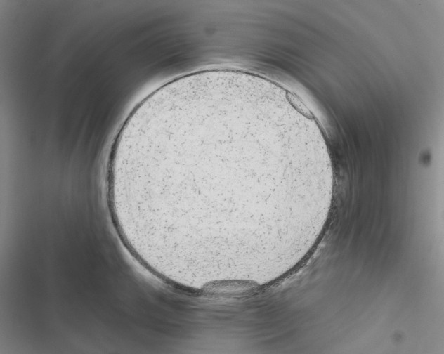 X0000116571143201001211238