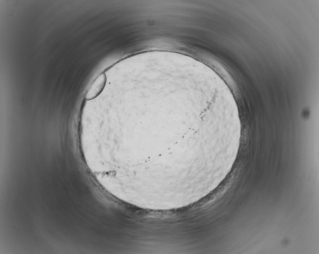 X0000116571146201001211238