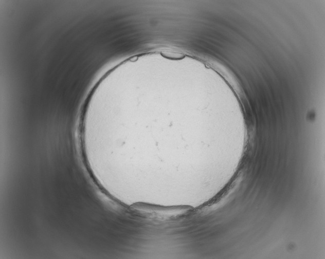 X0000116571149201001211238