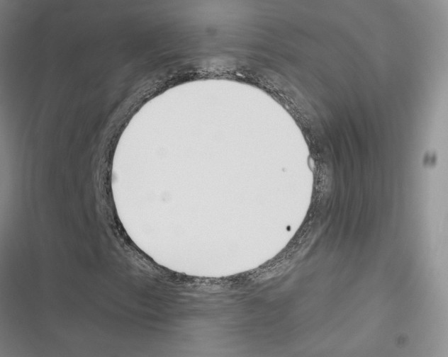 X0000116571153201001211238