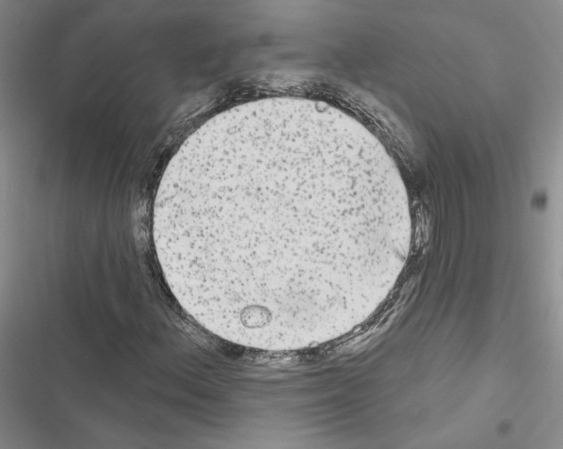 X0000116571156201001211238