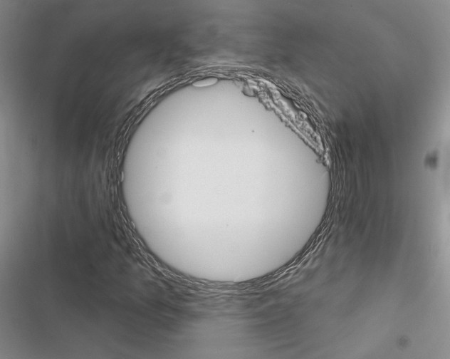 X0000116571157201001211238