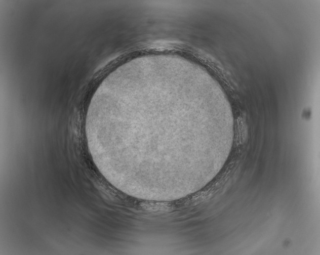 X0000116571158201001211237