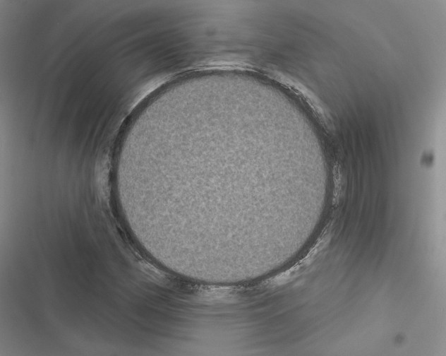 X0000116571162201001211237