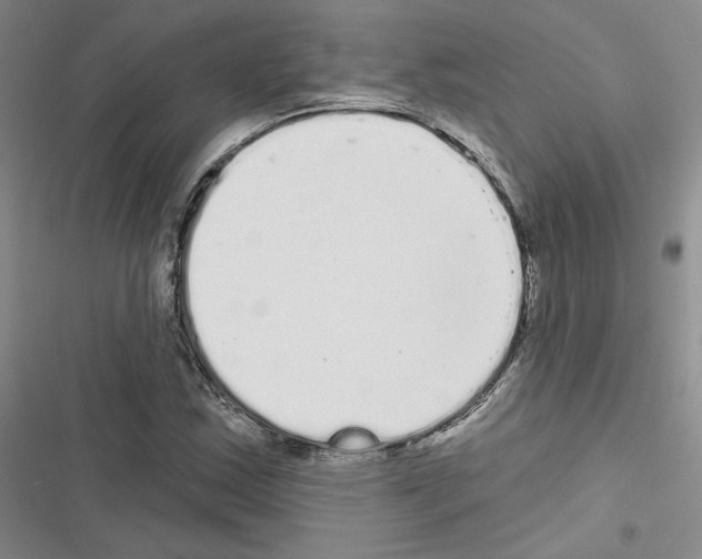 X0000116571163201001211237