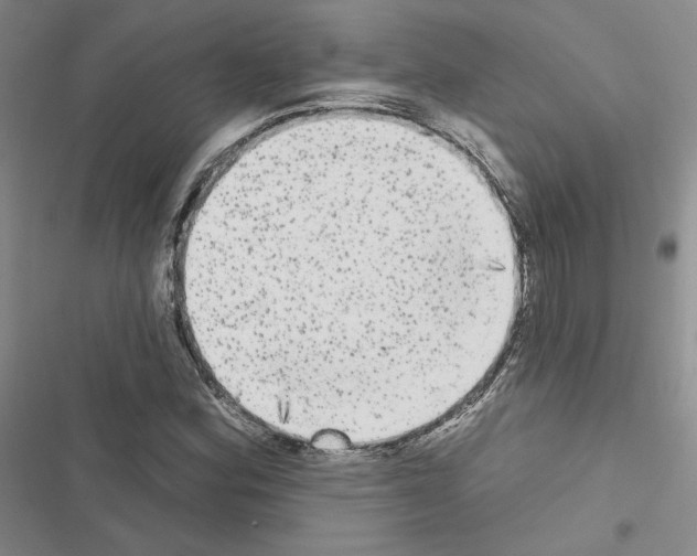 X0000116571164201001211237