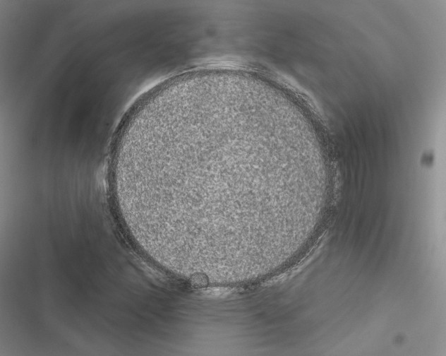 X0000116571166201001211237