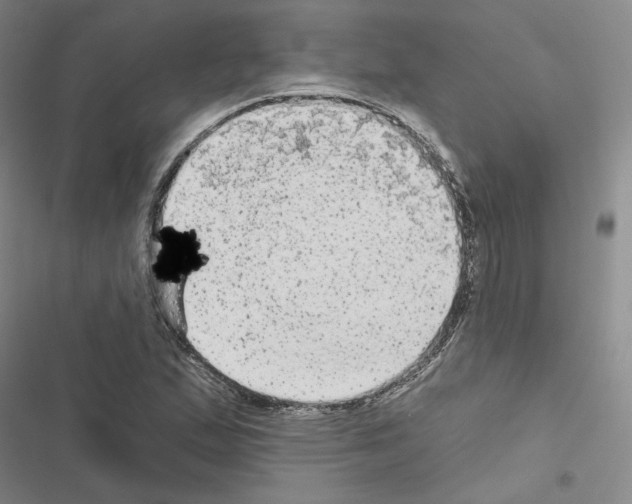 X0000116571167201001211237