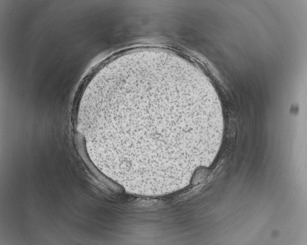 X0000116571168201001211237