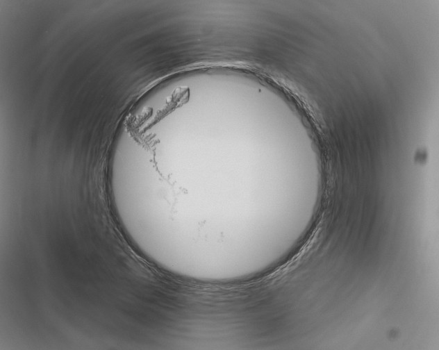 X0000116571169201001211237