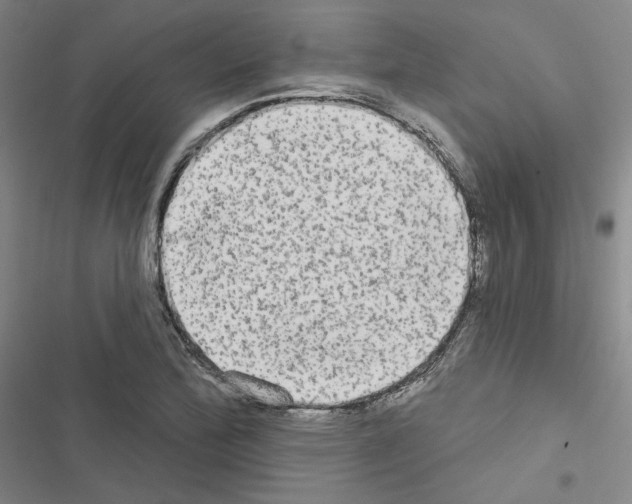 X0000116571172201001211237