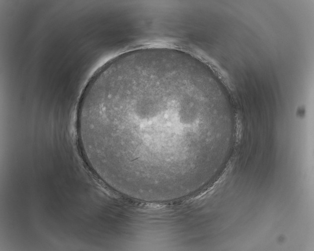 X0000116571174201001211237