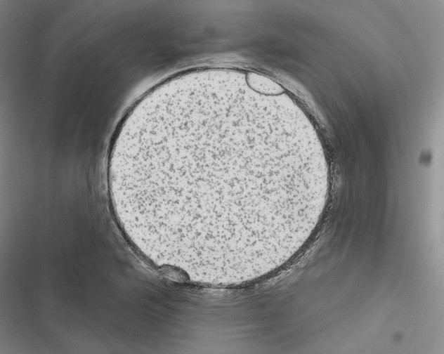 X0000116571176201001211237