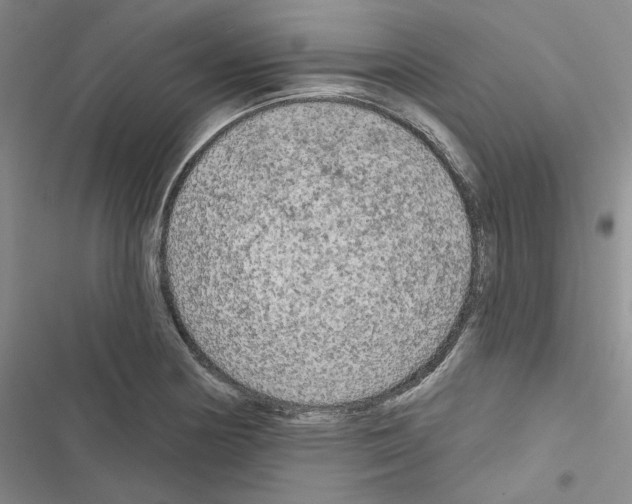 X0000116571178201001211237