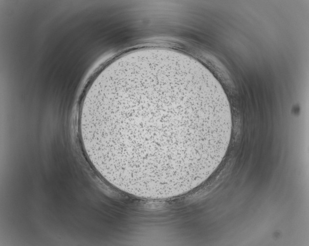 X0000116571180201001211237