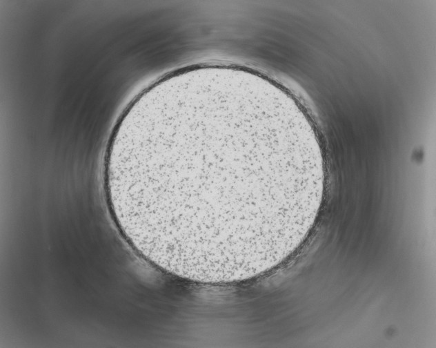 X0000116571183201001211237