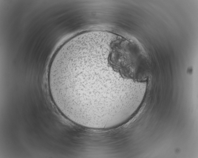 X0000116571184201001211237