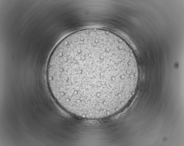 X0000116571186201001211237