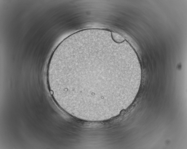 X0000116571187201001211237