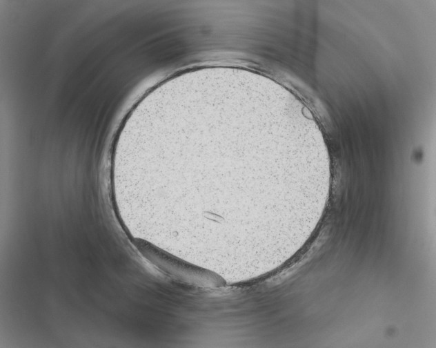 X0000116571188201001211237