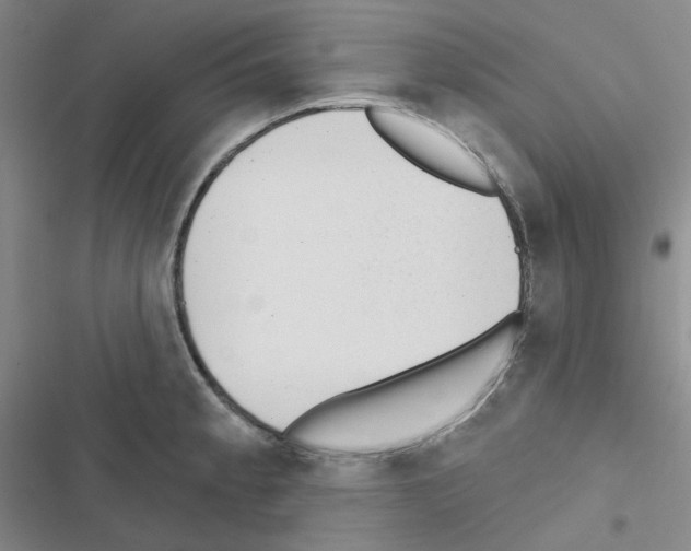 X0000116571189201001211237