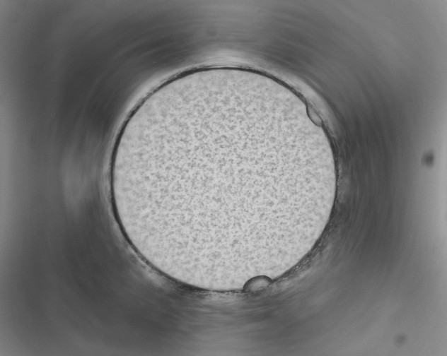 X0000116571191201001211237