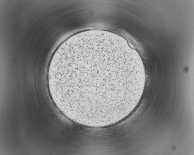 X0000116571192201001211237