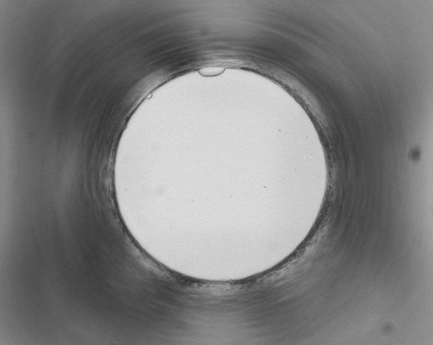 X0000116571193201001211237