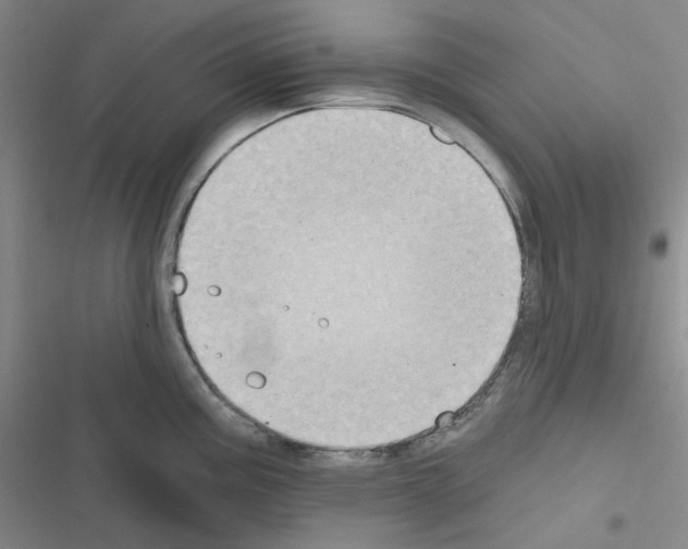 X0000116571195201001211237