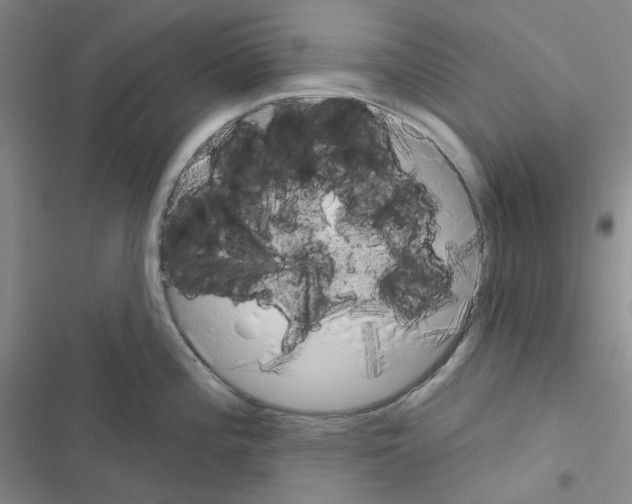 X0000116571196201001211237