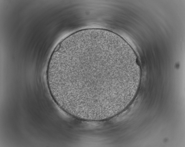 X0000116571197201001211237