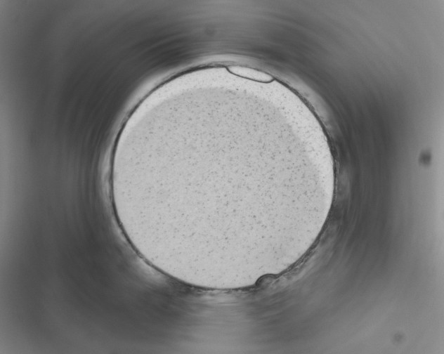 X0000116571199201001211237