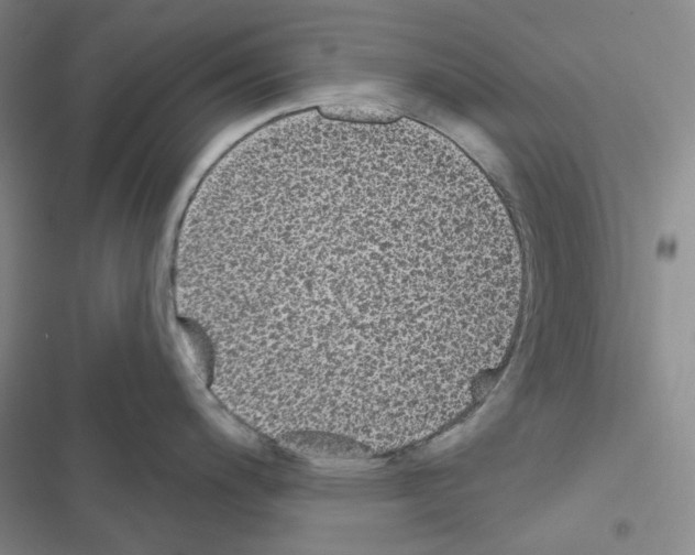 X0000116571200201001211237