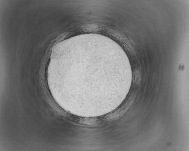 X0000116571201201001211236