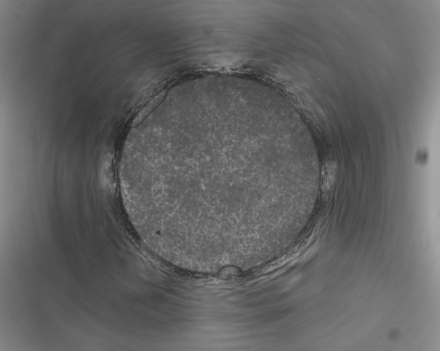 X0000116571202201001211236