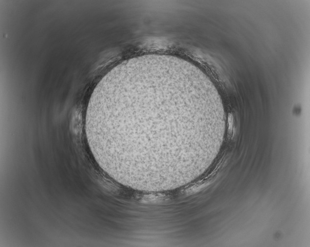 X0000116571203201001211236