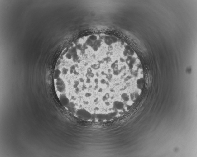 X0000116571204201001211236