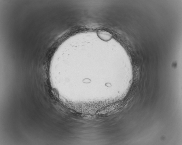 X0000116571205201001211236