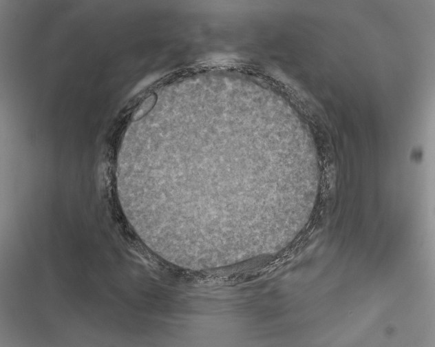 X0000116571206201001211236