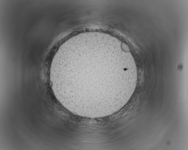 X0000116571207201001211236