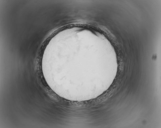 X0000116571208201001211236