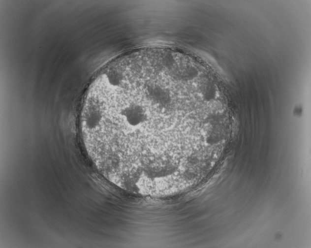 X0000116571209201001211236